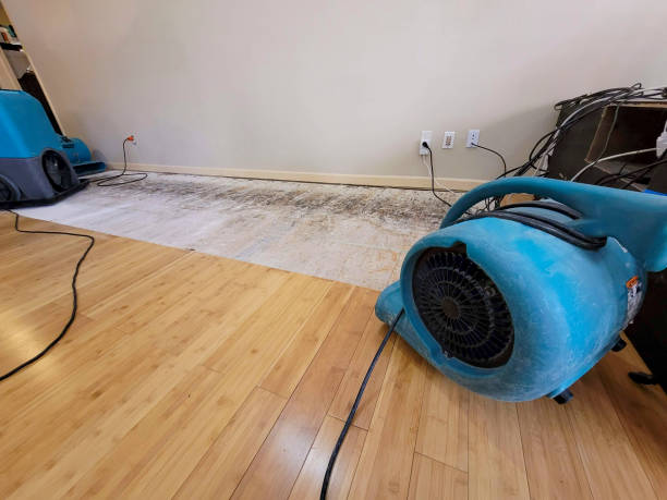 Professional Flood Damage Cleanup technician working in Downers Grove, IL